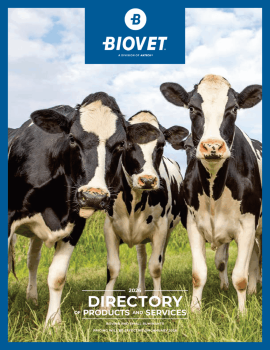 Directories of services – Bovine and Small Ruminants
